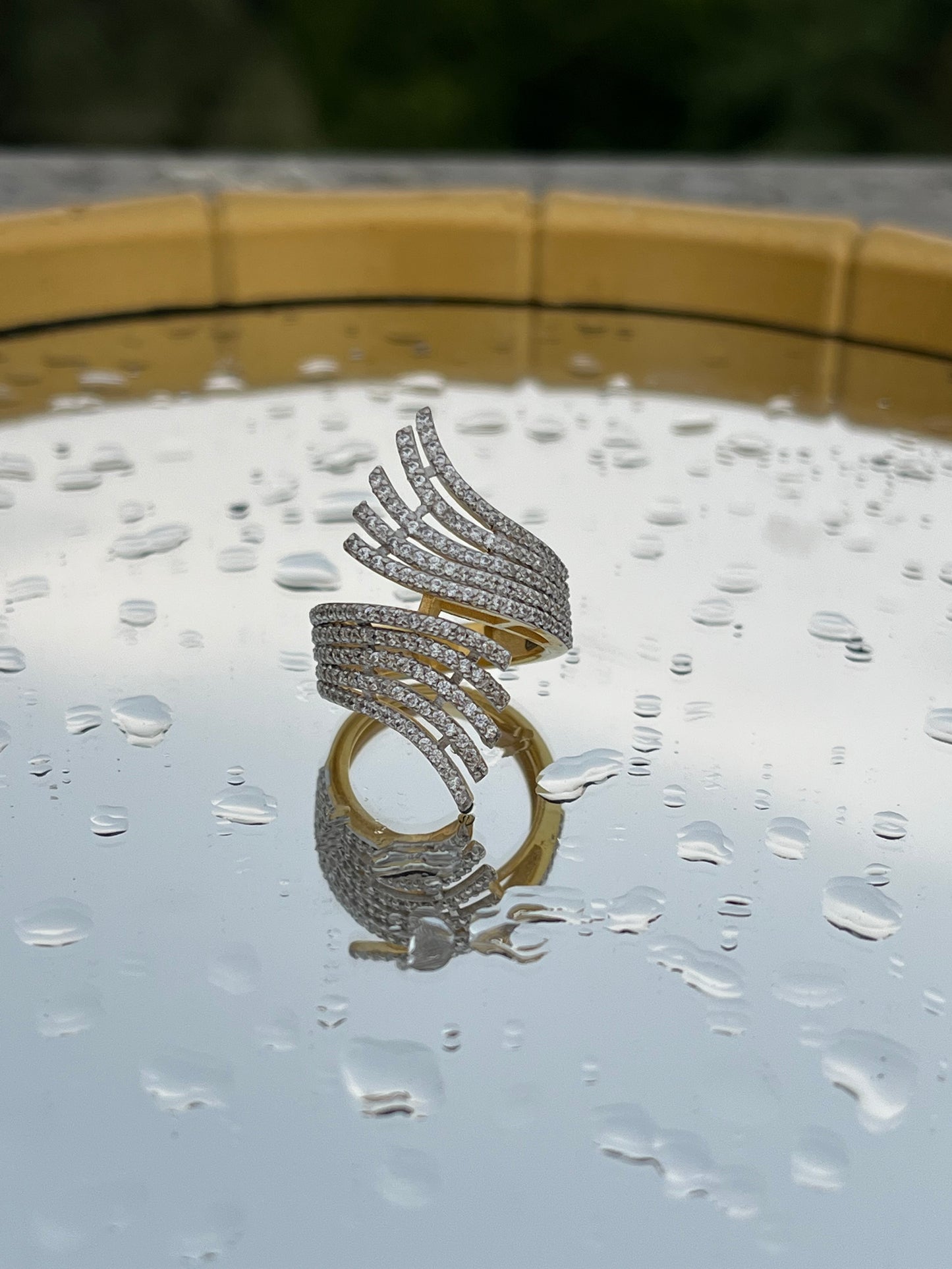 Aditi's Angel Ring